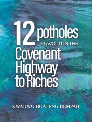 cover image of 12 Potholes to Avoid on the Covenant Highway to Riches